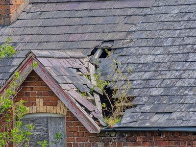 Professional attic mold removal services in Clinton - Clinton Attic Mold Removal